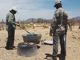 Fentanyl Seizures Surpass 377 Million Lethal Doses at U.S. Border Points