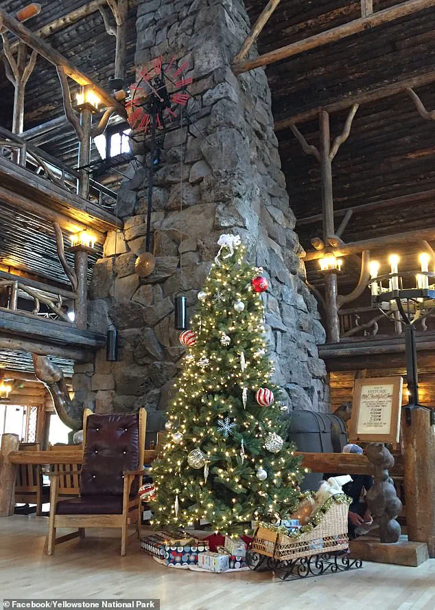 Breaking: Yellowstone National Park Celebrates Christmas Twice a Year, with Early Celebration on August 25