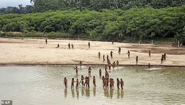 Hidden Tribe Faces Existential Threat as Lack of Immunity Puts Uncontacted Amazon People at Risk of Common Illnesses