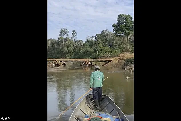 Hidden Tribe Faces Existential Threat as Lack of Immunity Puts Uncontacted Amazon People at Risk of Common Illnesses