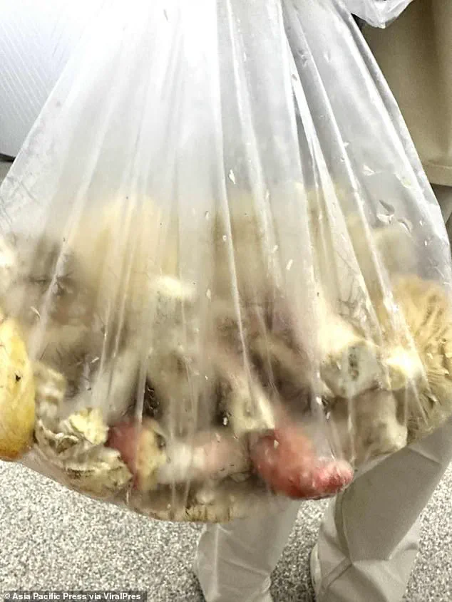 A Lethal Feast: Father and Daughter Die After Eating Poisonous Curry, Relatives Describe 'Harrowing' Scene