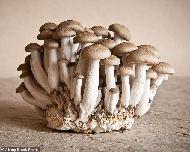 Aging and Body Odor: Scientific Insights from Oxford Longevity Project Co-Founder Leslie Kenny