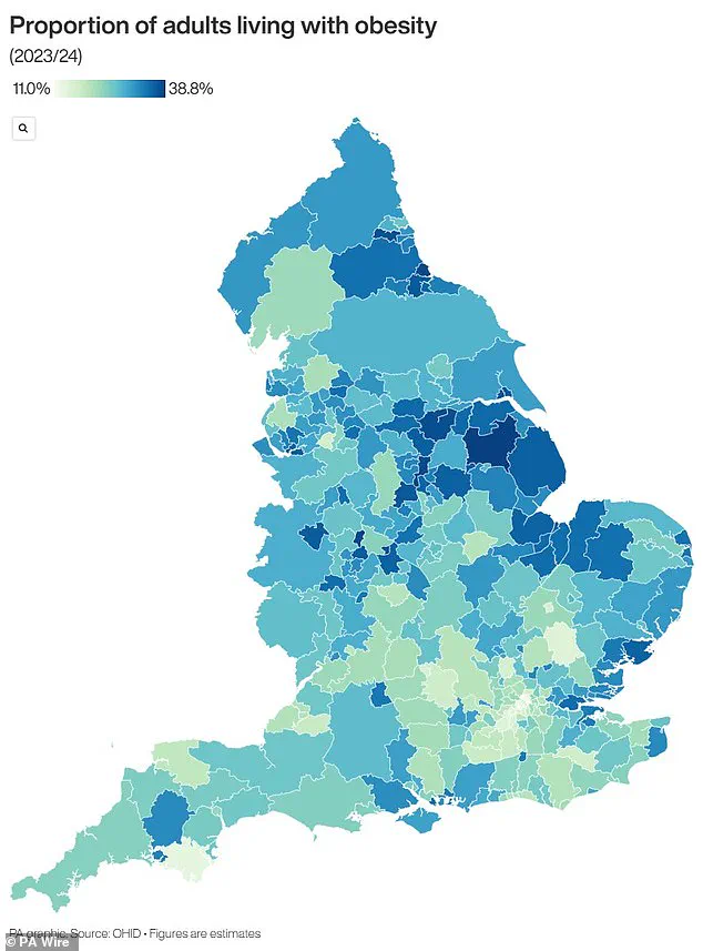 Exclusive Research Reveals How Stress Disrupts Gut-Brain Communication, Fueling Cravings for High-Calorie Foods