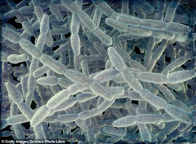 Deadly Legionnaires' Disease Spreads to NYC Suburbs, Claiming Two Lives and Infecting 35 in Westchester County, Health Officials Warn