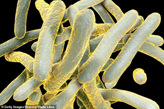 Tuberculosis: A Historical and Ongoing Global Health Crisis