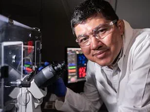 Breakthrough in Cancer Treatment: Harvard and MIT Researchers Engineer Enhanced Natural Killer Cells for Precision Targeting