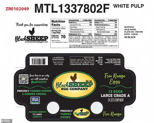 Urgent Recall of Egg Products by Black Sheep Egg Company Sparks Public Health Concerns Over Salmonella Risk, as Health Inspectors Highlight Critical Food Safety Gaps