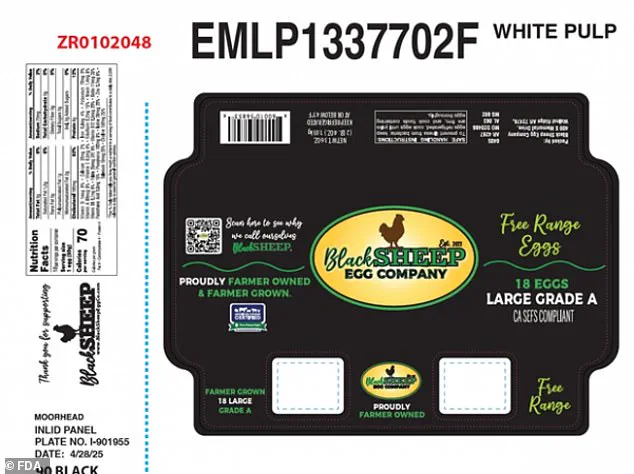 Urgent Recall of Egg Products by Black Sheep Egg Company Sparks Public Health Concerns Over Salmonella Risk, as Health Inspectors Highlight Critical Food Safety Gaps
