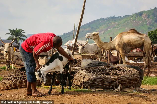 The Inevitable Catastrophe: 'The Big One' Is Not Optional, Warns Epidemiologist Michael Osterholm