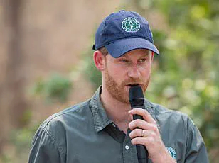Chad's Environment Ministry Accuses Prince Harry's African Parks of Neocolonialism in Row Over Conservation Priorities