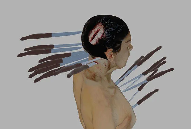 Locked Files and Unresolved Doubts: The Greenberg Family's Fight for Transparency in a Ruled Suicide