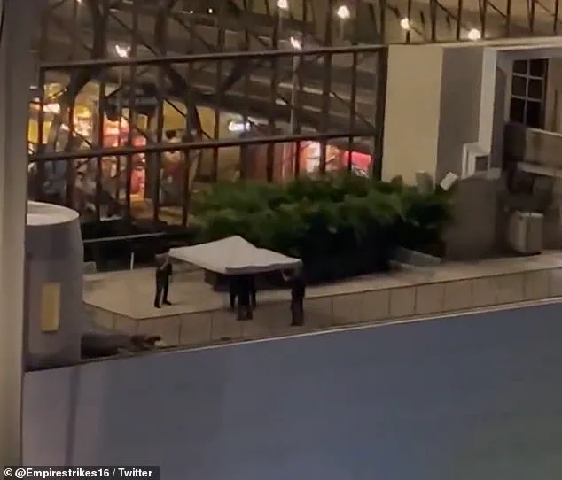 Tragic Death of Disney Superfan Summer Equitz at Walt Disney World Resort