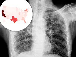 Medical Mystery and Systemic Challenges: Mental Health, Domestic Violence, and the Need for Integrated Care