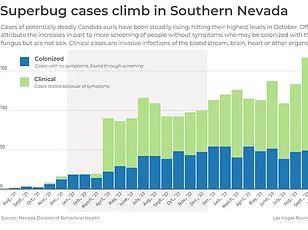 The Hidden Toll of Balancing Work and Family: A Teacher's Struggle with Chronic Exhaustion and Cognitive Decline