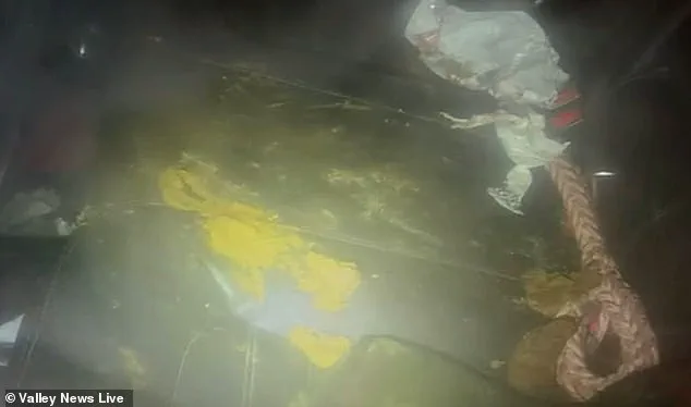 Heart-Wrenching Rescue: Minnesota Resident Discovers Dogs Abandoned in Subzero Temperatures, Prompting Community Outcry