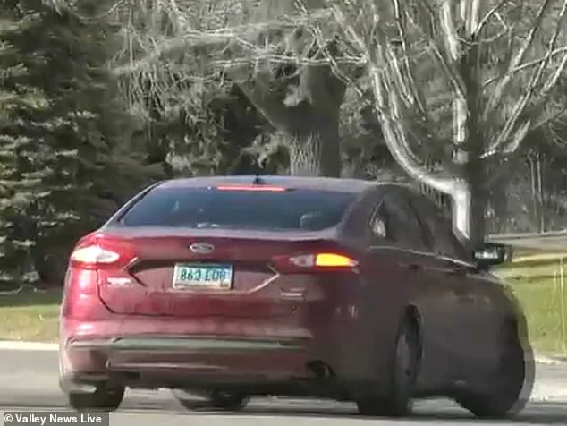 Heart-Wrenching Rescue: Minnesota Resident Discovers Dogs Abandoned in Subzero Temperatures, Prompting Community Outcry