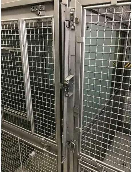 Late-Breaking: Trump's CDC-Funded Primate Research Ban Sparks Urgent Debate Over Ethics and Medical Innovation