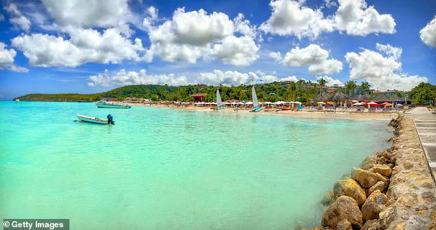 Tragedy in Antigua and Barbuda: Woman Killed During Horseback Riding Tour