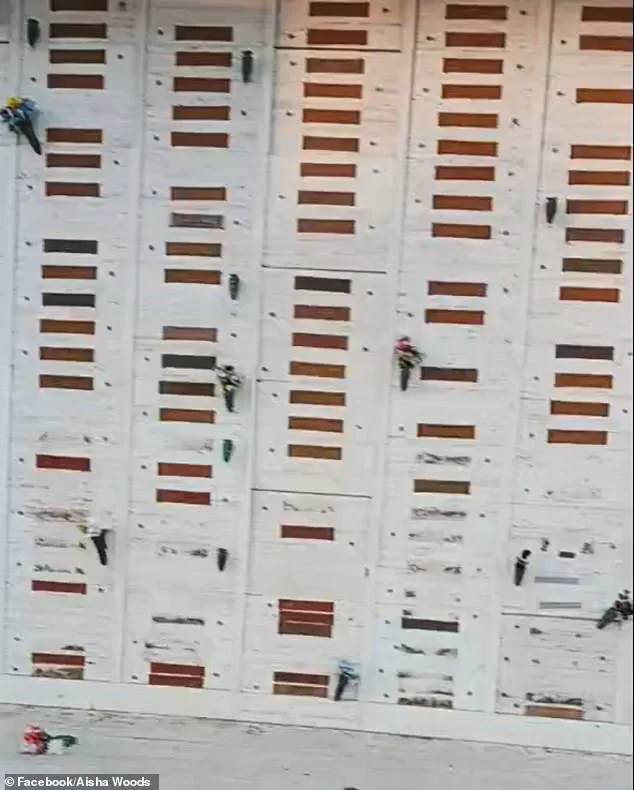 Vandalism Ravages Historic Civil War Cemetery in Los Angeles, Sparking Calls for Increased Security Measures