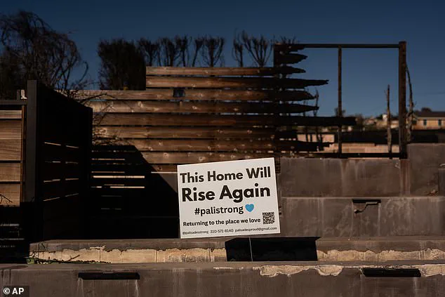 Devastation in Pacific Palisades: A Year After the Fire