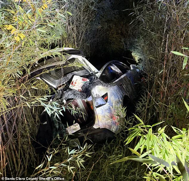 Exclusive Expert Insights: Mental Health Crisis and Legal Fallout in High-Profile Tech Entrepreneur Case