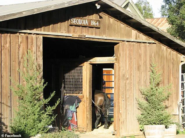 Exclusive Expert Insights: Mental Health Crisis and Legal Fallout in High-Profile Tech Entrepreneur Case