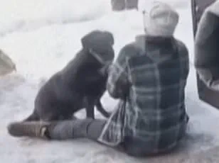 Minneapolis Mayor Jacob Frey's Live Outburst Over ICE Agent's Fatal Shooting of Renee Nicole Good