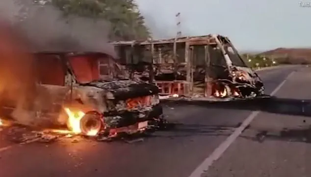 Exclusive Insights: The Hidden Horrors of Mexico's Cartel War