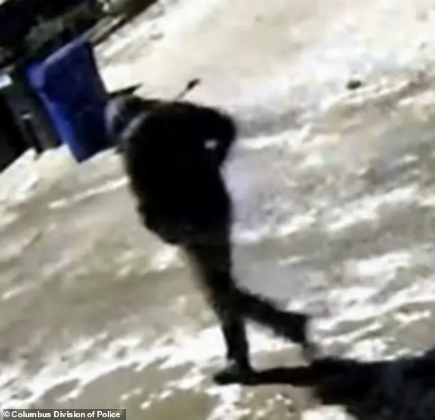 Tragic Weinland Park Incident Highlights Regulatory Gaps in Emergency Response Systems