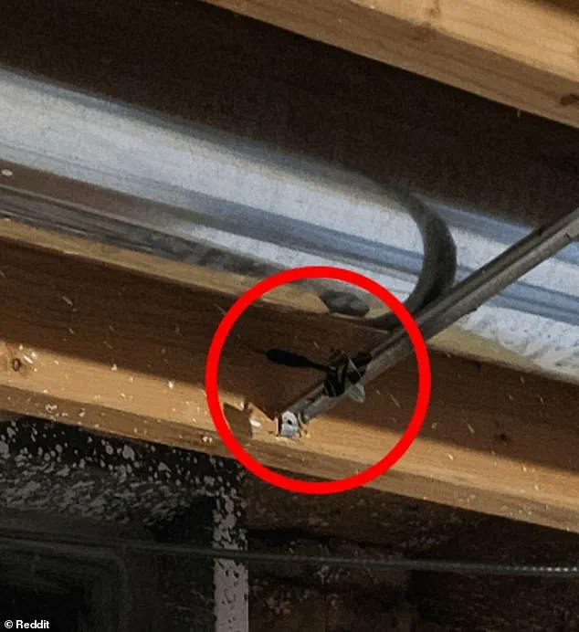 ‘Find the Third Dart That Isn’t on the Board’: Reddit’s Viral Challenge Sparks Global Hunt as Thousands Join Digital Detective Effort