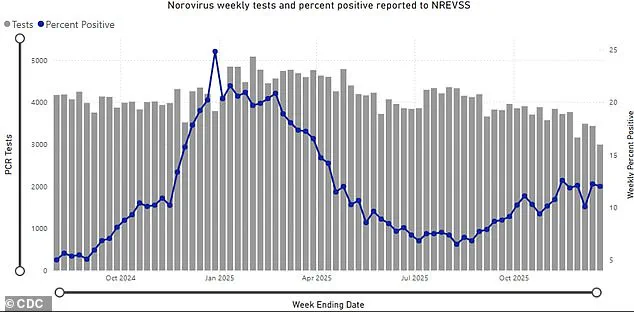 Norovirus Outbreak on Holland America Line's Rotterdam Cruise Ship Sparks Health Concerns Over Confined Space Transmission Risks