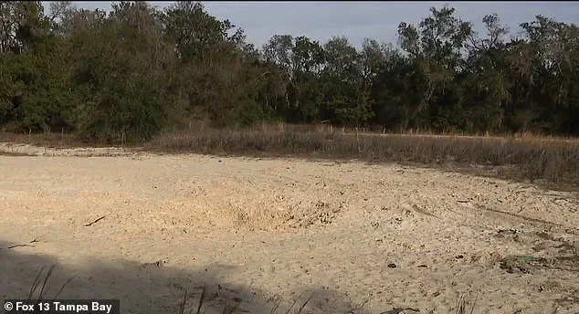 ''They were like brothers'': Families mourn loss of two 14-year-old friends killed in Florida hole collapse tragedy