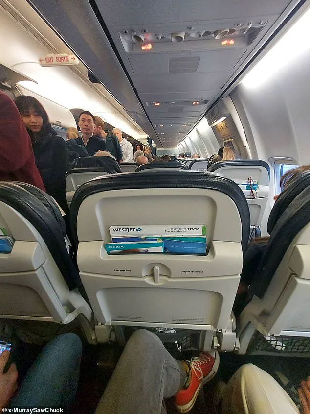 WestJet Abandons Controversial Ultra-Slim Seats After Public Outrage and Viral Video Exposes Cramped Conditions