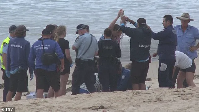 Shark Attacks on Sydney Beaches Spark Lockdown and Community Fear: 'Urgent Action Needed' Says Marine Expert