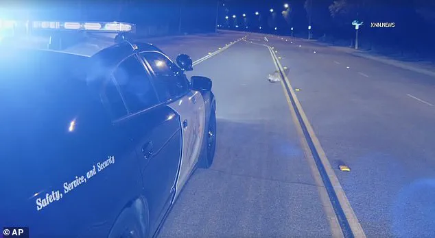 Exclusive Footage Reveals Rare Mountain Lion Cub on LA Roadway