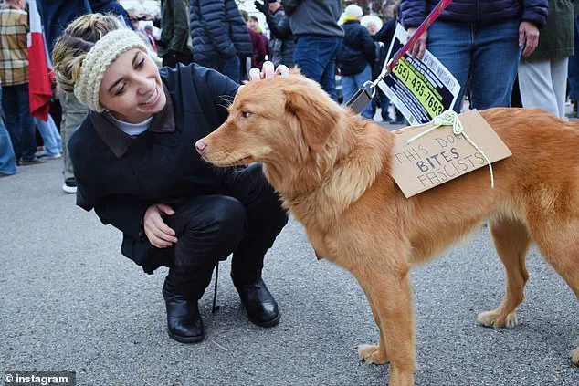 Illinois Congressional Candidate Kat Abughazaleh's Absence from Indivisible Project Event Sparks Scrutiny
