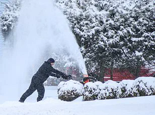 Winter Storm Fern Threatens Southern U.S. with Heavy Snow and Ice, Risking Power Outages and Travel Disruptions