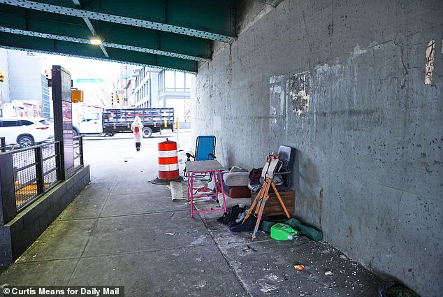 New York City's Homeless Encampments Resurge as Mamdani Shifts from Adams' Clearing Policies