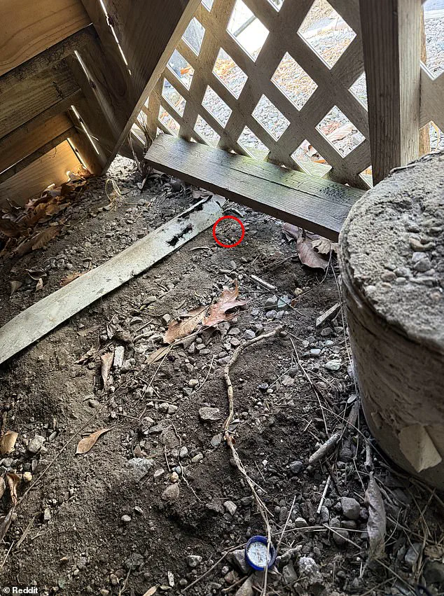 A Desperate Husband's Online Plea: 'I Lost My Wedding Ring in a Pile of Dirt Beneath My Porch'