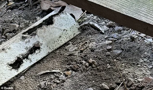 A Desperate Husband's Online Plea: 'I Lost My Wedding Ring in a Pile of Dirt Beneath My Porch'