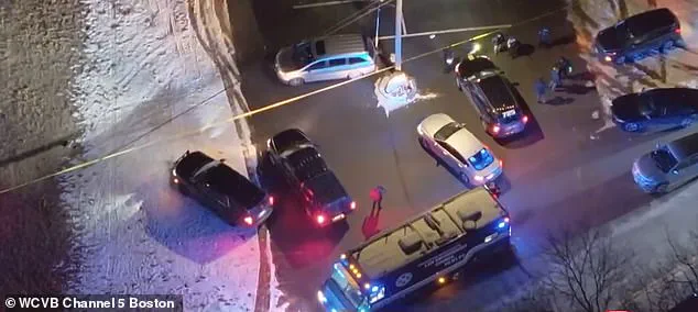 Deadly Shooting at Child's Birthday Party Sparks Urgent Questions About Public Safety and Law Enforcement in Carver, Massachusetts