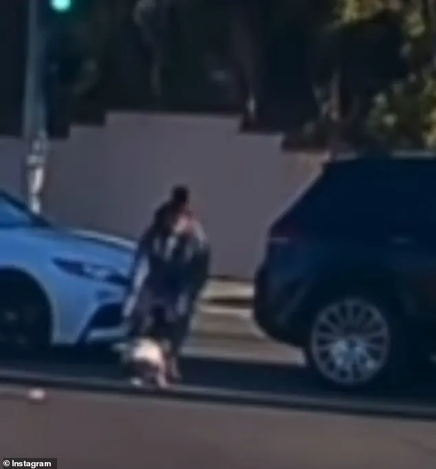 Viral Video Captures 19-Month-Old Toddler Falling from Moving Vehicle in Fullerton, California