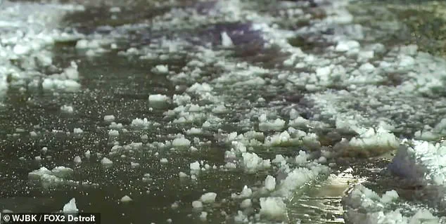 Detroit's Frozen Chaos: Exclusive Insights into the Storm's Hidden Impact
