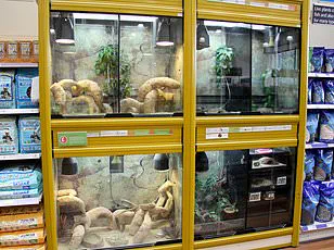 Navitas Organics Recalls Organic Chia Seeds Over Potential Salmonella Contamination, Advises Consumers to Check Lot Numbers