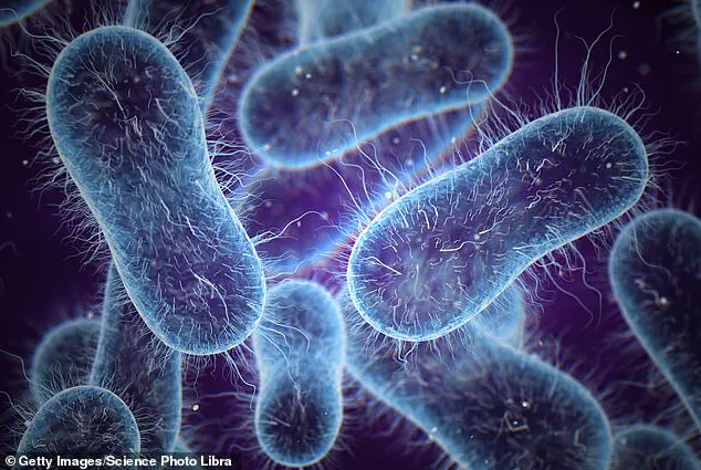 Navitas Organics Recalls Organic Chia Seeds Over Potential Salmonella Contamination, Advises Consumers to Check Lot Numbers