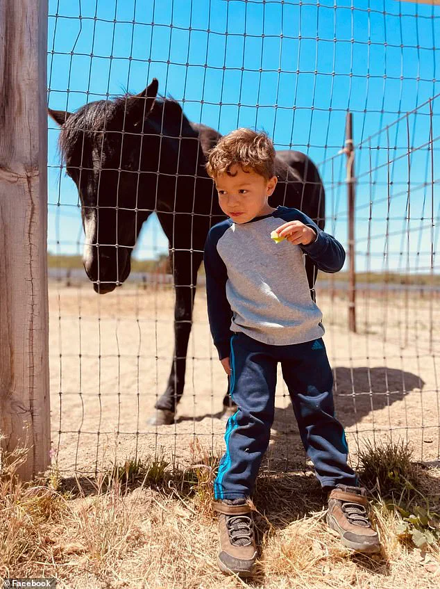 San Diego Woman Faces Charges in Hit-and-Run That Killed 6-Year-Old Boy