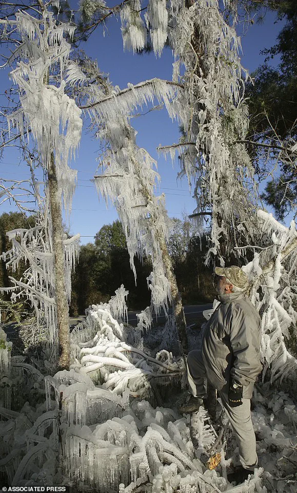 Exclusive Insights: Miami's 15-Year Cold Snap and Limited Weather Information