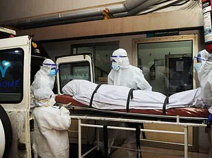 Global Health Officials Heighten Surveillance Amid Deadly Nipah Virus Outbreak in India