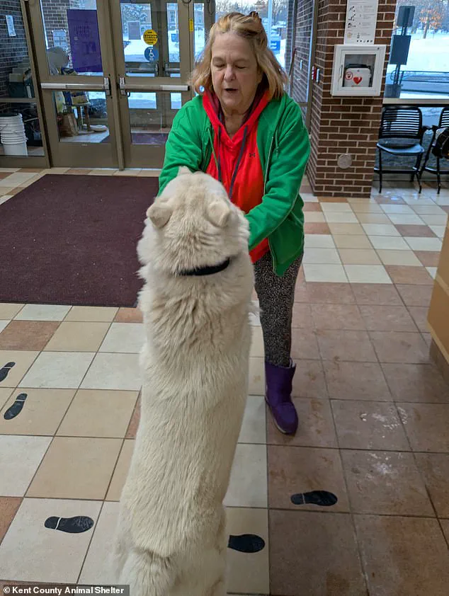 Late-Breaking Update: Missing Puppy Found After Year-Long Search Underlines Urgent Need for Pet Microchipping, Experts Warn