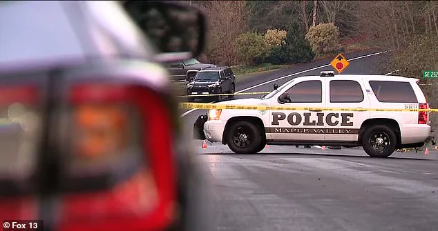 Legal System's Handling of Ritualistic Violence Case Sparks Public Debate in Maple Valley